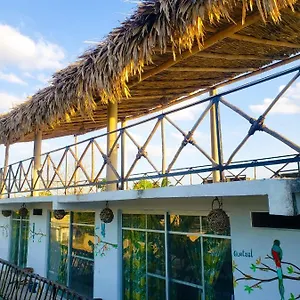 La Casa De Aves Apartahotel Bacalar