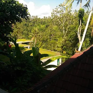  Guest house Punia's Jungle